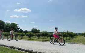 Mit dem Fahrrad kann man am Fluss Mincio bis nach Mantua radeln